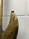 IMG_4231 (1).webp